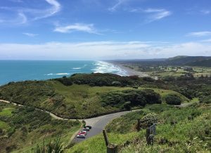 Muriwai Scenic Wine Tour from Auckland