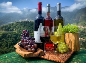 Skywalk with Wines Tasting and Vineyards Half day 4x4 Adventure