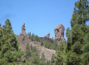 Gran Canaria Peaks Full-Day Tour from Las Palmas