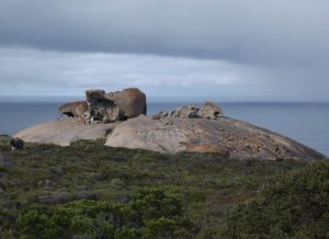 One Day Kangaroo Island Highlights Tour
