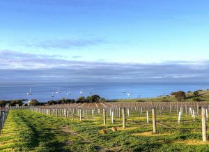 Kangaroo Island Shore Excursion Tasting Tour