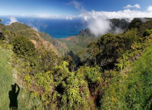 Kauai Shore Excursion - Waimea Canyon Adventure Tour - Nawiliwili