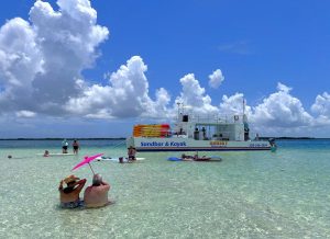 All-Inclusive Sandbar Safari with Dolphin Playground Encounter