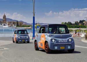 Malaga Highlights by Electric Car with Port Pick up