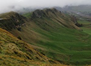 Half Day Sights and Tastes Tour in Napier