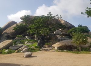 Full-Day Sightseeing island Tour of Aruba with Cave Pool Swim