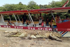 10 in 1 Puntarenas Highlights tour