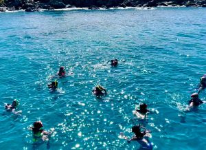 Half Day Luxury Catamaran Turtle Snorkel And Beach