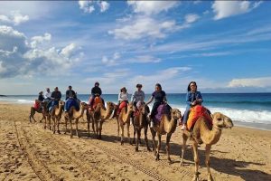 Tangier: Cap Spartel and Hercules Cave with Camel Ride