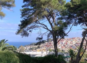 Private Walking Tour in Tangier Kasbah Medina & Colorful Souks