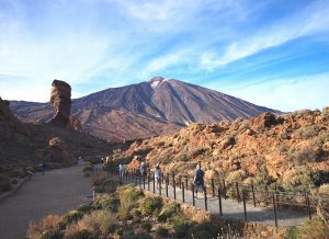 Small Group Teide National Park Volcanic and Forest Wonders